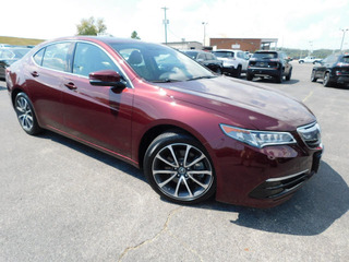 2015 Acura Tlx for sale in Clarksville TN