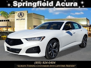 2025 Acura Tlx for sale in Springfield NJ