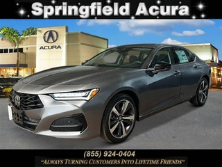 2024 Acura Tlx for sale in Springfield NJ