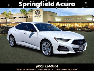 2023 Acura Tlx for sale in Springfield NJ