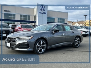 2025 Acura Tlx for sale in North Haven CT