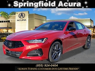 2024 Acura Tlx for sale in Springfield NJ