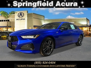 2025 Acura Tlx for sale in Springfield NJ