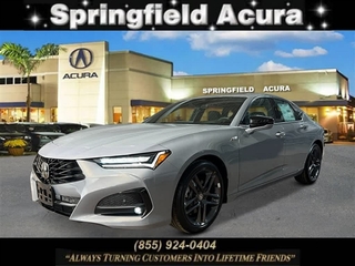 2025 Acura Tlx for sale in Springfield NJ