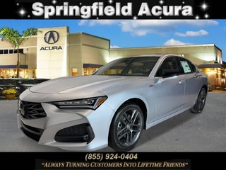 2025 Acura Tlx for sale in Springfield NJ