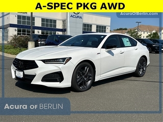 2025 Acura Tlx