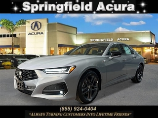 2025 Acura Tlx for sale in Springfield NJ