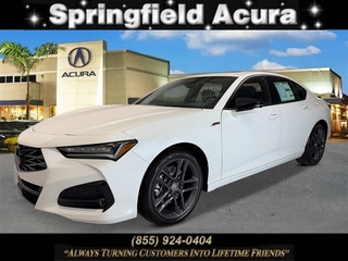 2025 Acura Tlx for sale in Springfield NJ