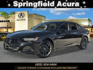 2024 Acura Tlx for sale in Springfield NJ