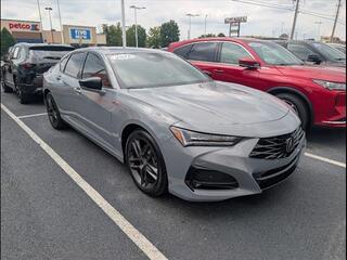 2025 Acura Tlx for sale in Bowling Green KY