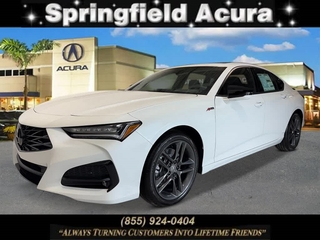 2025 Acura Tlx for sale in Springfield NJ