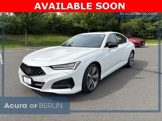 2021 Acura Tlx for sale in North Haven CT