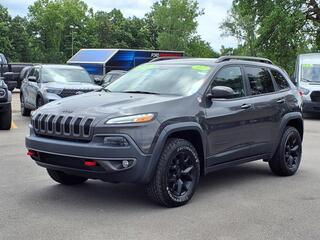 2017 Jeep Cherokee for sale in Woodhaven MI