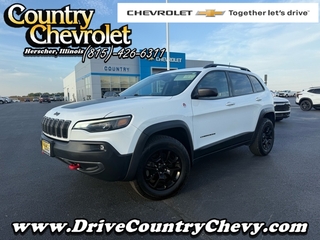 2019 Jeep Cherokee for sale in Herscher IL