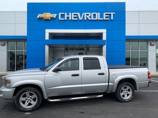2008 Dodge Dakota for sale in Shelby OH