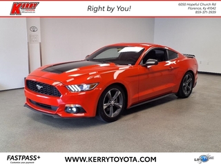 2015 Ford Mustang for sale in Florence KY