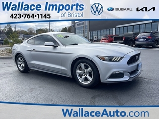 2015 Ford Mustang for sale in Bristol TN