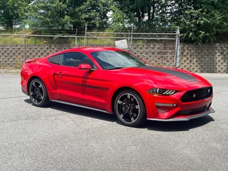 2019 Ford Mustang for sale in Canton NC