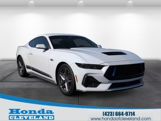 2024 Ford Mustang for sale in Cleveland TN