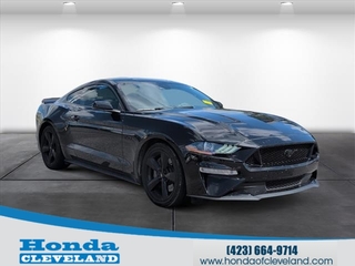 2021 Ford Mustang for sale in Cleveland TN