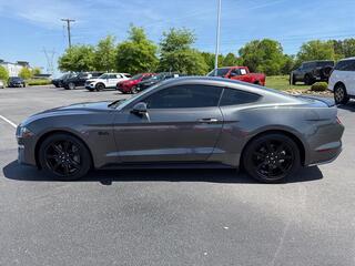 2019 Ford Mustang for sale in Dandridge TN