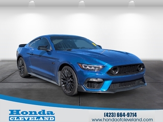 2017 Ford Mustang for sale in Cleveland TN