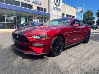 2019 Ford Mustang