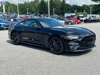 2021 Ford Mustang for sale in Canton NC