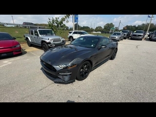 2023 Ford Mustang for sale in Cincinnati OH