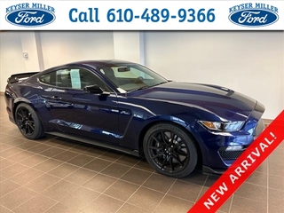 2019 Ford Mustang for sale in Mt. Juliet TN