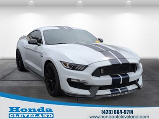 2020 Ford Mustang for sale in Cleveland TN