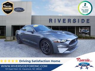 2023 Ford Mustang for sale in Havelock NC