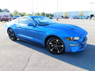 2019 Ford Mustang for sale in Clarksville TN