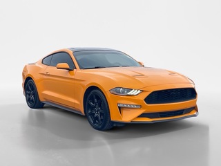 2019 Ford Mustang for sale in Oak Ridge TN