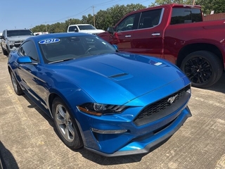 2021 Ford Mustang for sale in Mcalester OK