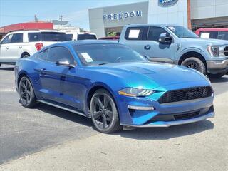 2022 Ford Mustang for sale in Bowling Green KY