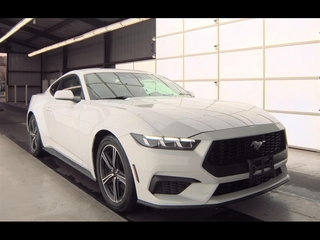 2024 Ford Mustang for sale in Dallas TX
