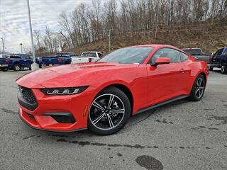 2025 Ford Mustang for sale in Bristol TN