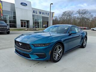 2026 Ford Mustang for sale in Manchester TN