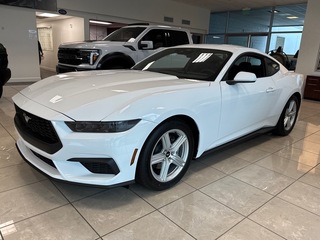 2026 Ford Mustang for sale in Knoxville TN