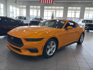 2026 Ford Mustang for sale in Knoxville TN
