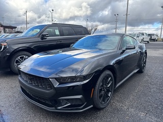 2026 Ford Mustang for sale in Knoxville TN