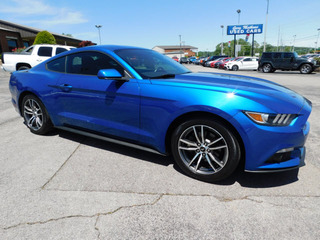 2017 Ford Mustang for sale in Clarksville TN