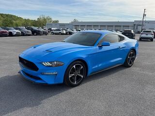 2022 Ford Mustang for sale in Kingsport TN