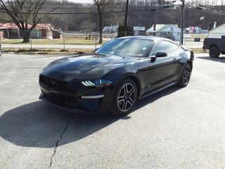 2023 Ford Mustang for sale in Princeton WV