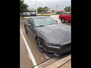 2024 Ford Mustang for sale in Carrollton TX