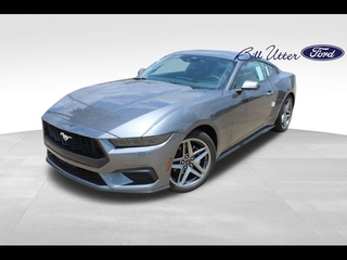2025 Ford Mustang for sale in Denton TX