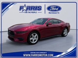 2026 Ford Mustang for sale in Morristown TN