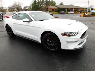 2018 Ford Mustang for sale in Clarksville TN