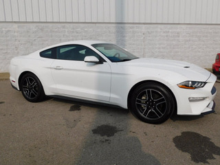 2019 Ford Mustang for sale in Clarksville TN